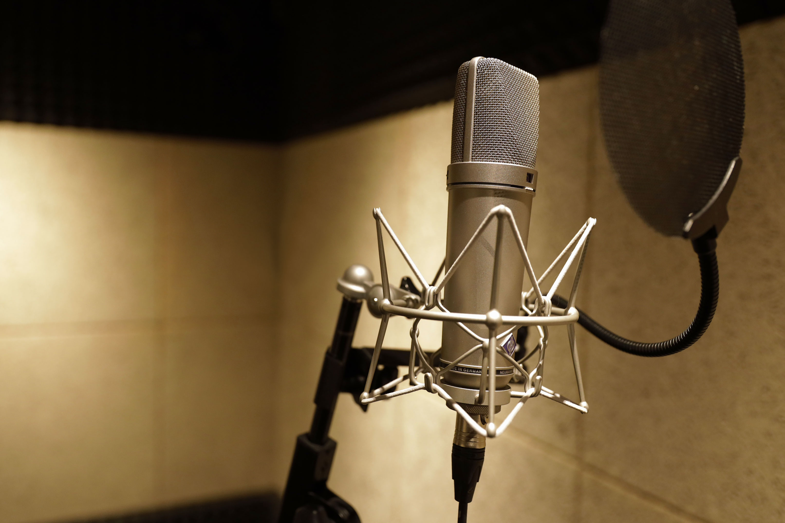 mic