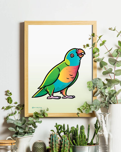 ONP School Mascot | Lorikeet