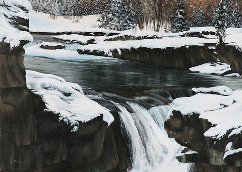 Elbow Falls in the Winter