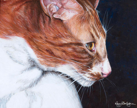 Mr. Kitty