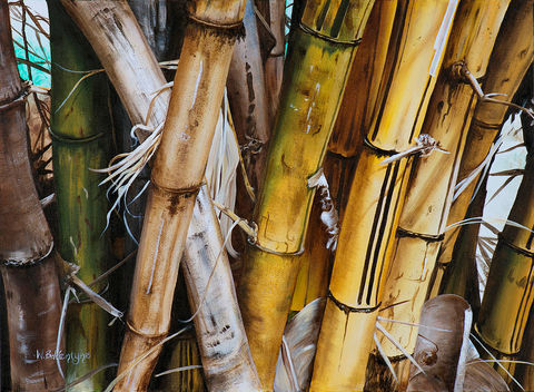 Bamboo Cluster