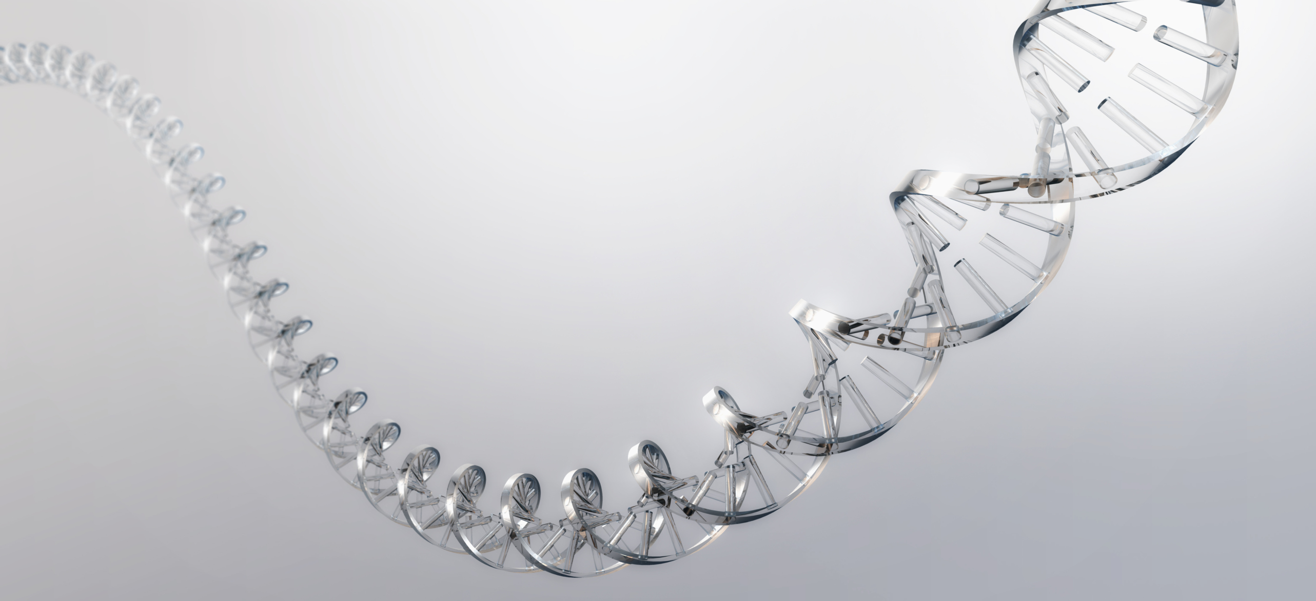 Double helix